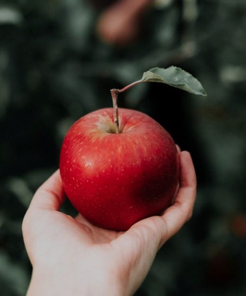 Nutricionistas esclarecem se a sensação de fome aumenta após o consumo de maçã.