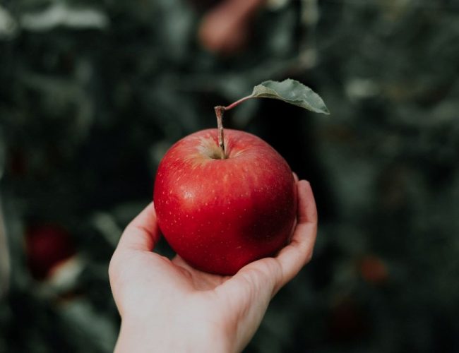 Nutricionistas esclarecem se a sensação de fome aumenta após o consumo de maçã.